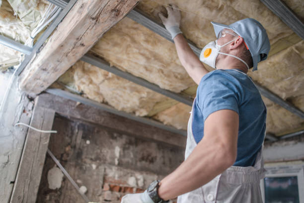 Best Types of Insulation in Painesville, OH