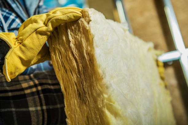 Best Residential Insulation in Painesville, OH