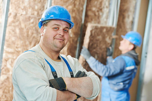 Best Insulation Maintenance and Repair in Painesville, OH